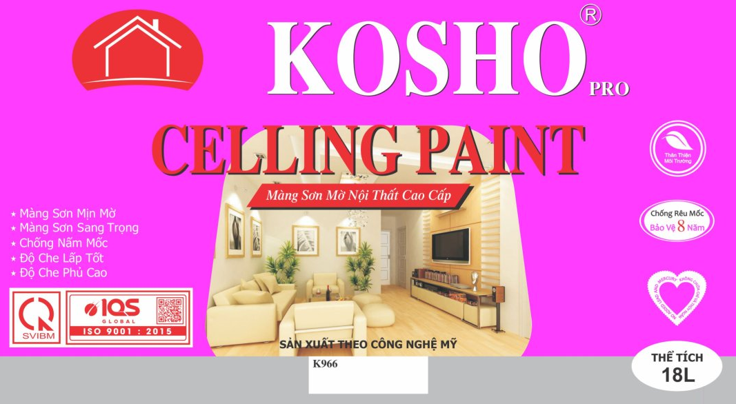 CEILING PAINT